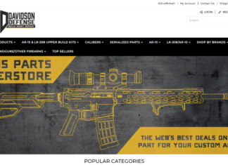Davidson Defense: AR9 Pistol Build Review